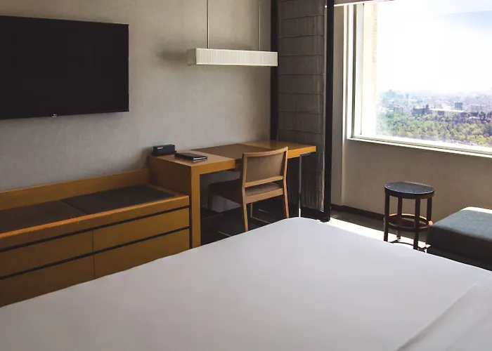 Hotel Hyatt Regency Mexico City